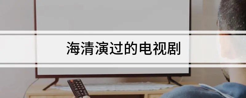 海清演过的电视剧