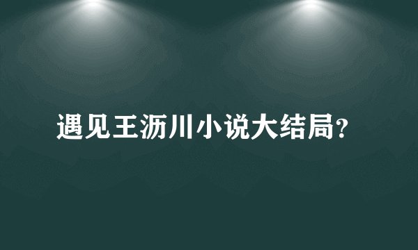 遇见王沥川小说大结局？