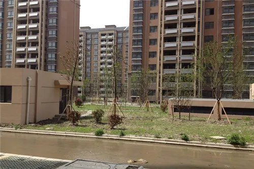 宗地面积和建筑面积的区别是什么