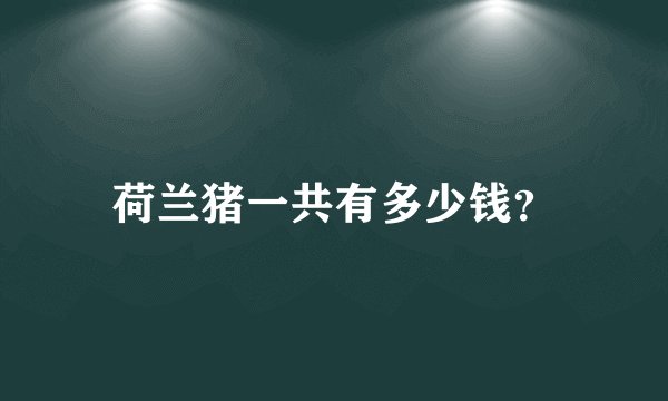 荷兰猪一共有多少钱？