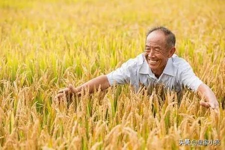 今日立秋,农村老人常说的“啃秋”是什么意思?