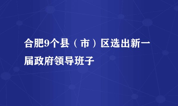合肥9个县（市）区选出新一届政府领导班子