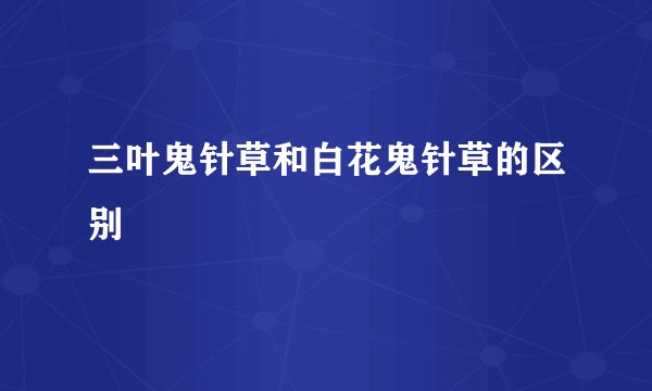 三叶鬼针草和白花鬼针草的区别