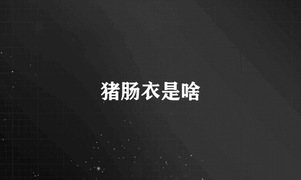 猪肠衣是啥