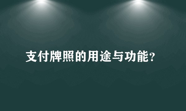 支付牌照的用途与功能？