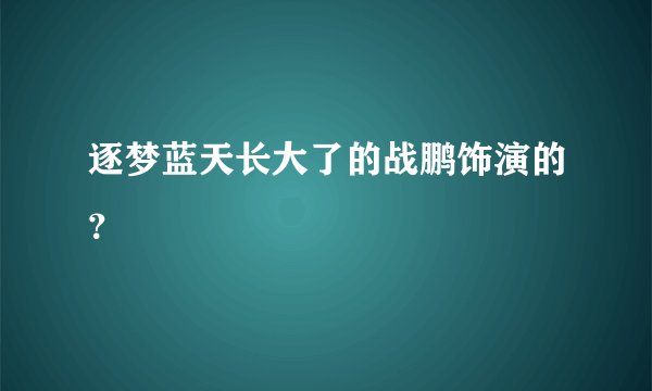 逐梦蓝天长大了的战鹏饰演的？