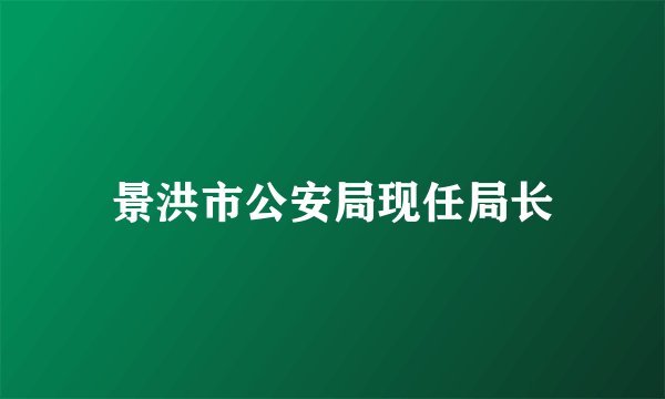 景洪市公安局现任局长