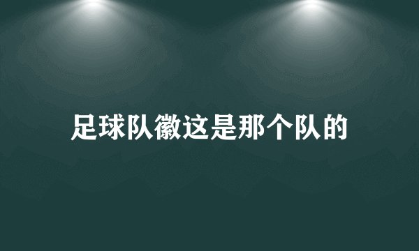 足球队徽这是那个队的
