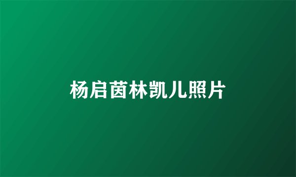 杨启茵林凯儿照片