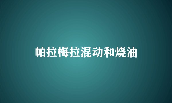 帕拉梅拉混动和烧油
