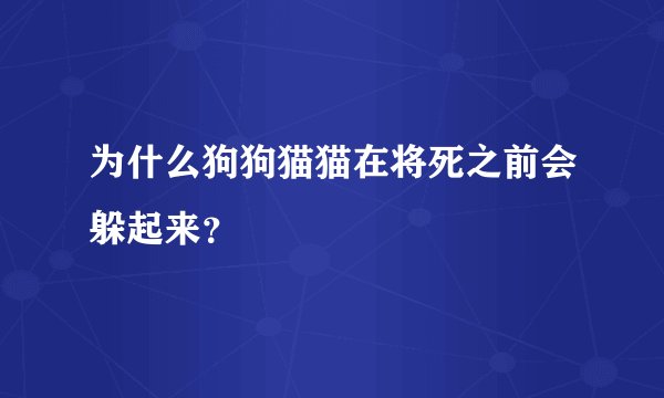 为什么狗狗猫猫在将死之前会躲起来？