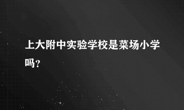 上大附中实验学校是菜场小学吗？