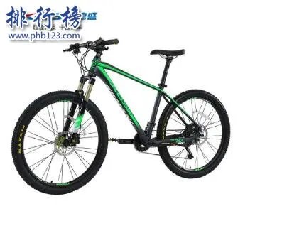 山地自行车十大品牌排行榜:凤凰、永安上榜 第4美国品牌