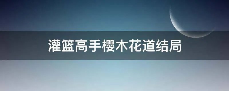 灌篮高手樱木花道结局