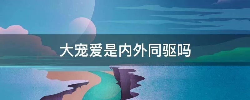 大宠爱是内外同驱吗