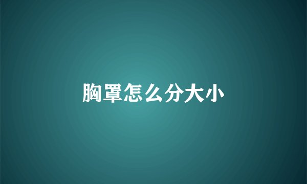 胸罩怎么分大小