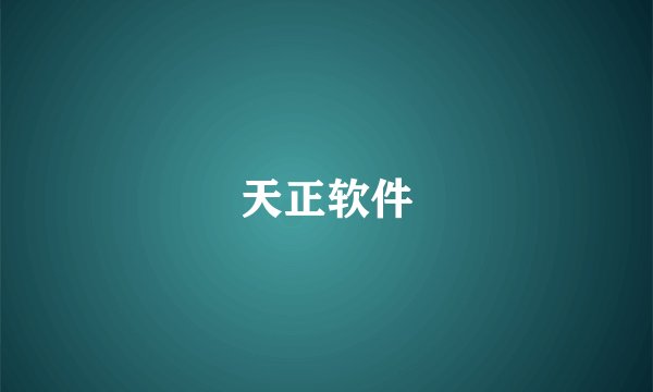 天正软件