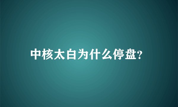 中核太白为什么停盘？