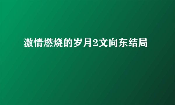 激情燃烧的岁月2文向东结局