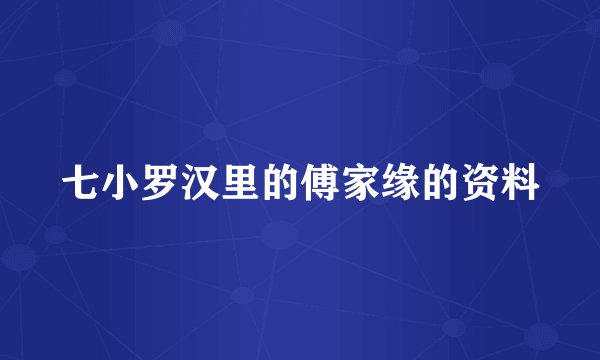 七小罗汉里的傅家缘的资料