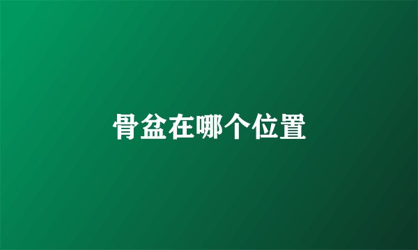 骨盆在哪个位置