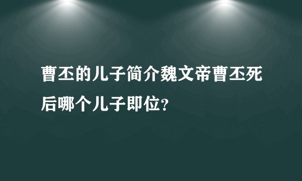 曹丕的儿子简介魏文帝曹丕死后哪个儿子即位？