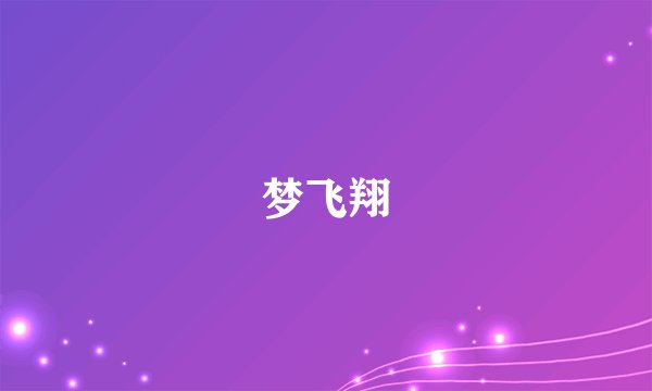 梦飞翔
