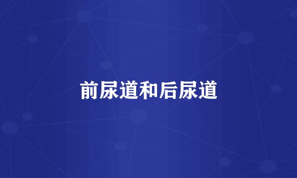前尿道和后尿道