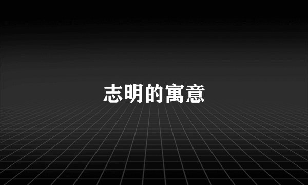 志明的寓意
