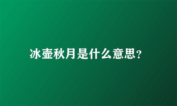 冰壶秋月是什么意思？