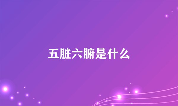 五脏六腑是什么