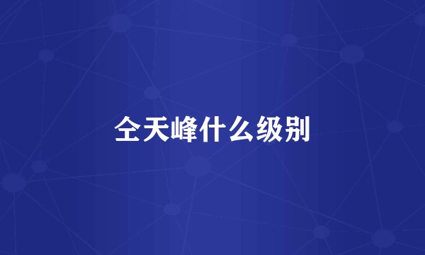仝天峰什么级别