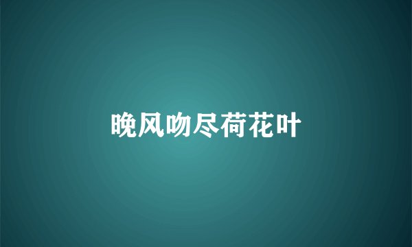 晚风吻尽荷花叶