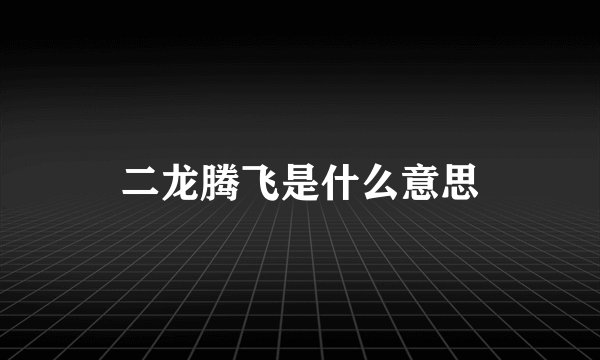 二龙腾飞是什么意思
