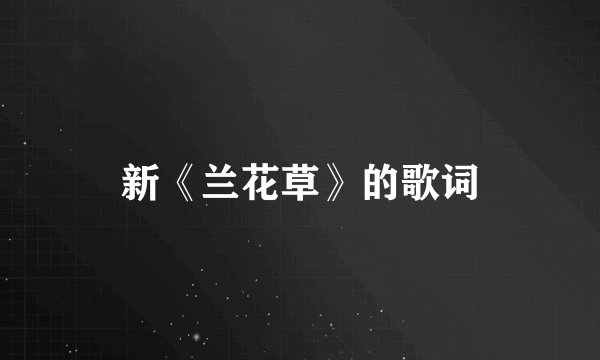 新《兰花草》的歌词