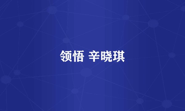 领悟 辛晓琪