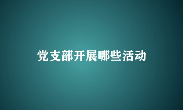 党支部开展哪些活动