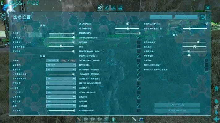 方舟生存进化画面设置指南