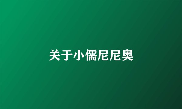 关于小儒尼尼奥