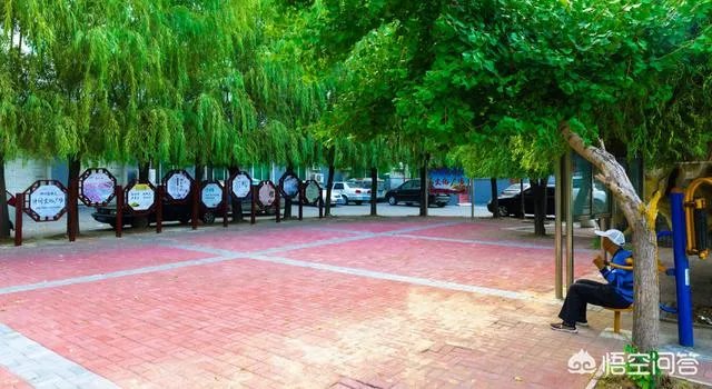 烟台数字政府建设列出时间表，让百姓办事更便捷, 你怎么看？