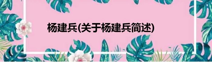 杨建兵(关于杨建兵简述)