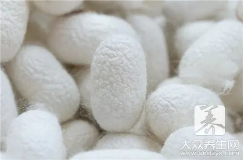 蚕蛹的营养价值，竟然这么多！