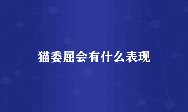 猫委屈会有什么表现