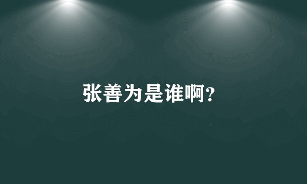 张善为是谁啊?