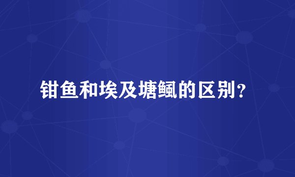 钳鱼和埃及塘鲺的区别？
