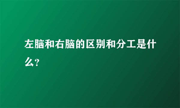 左脑和右脑的区别和分工是什么？