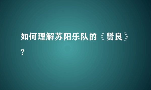 如何理解苏阳乐队的《贤良》？