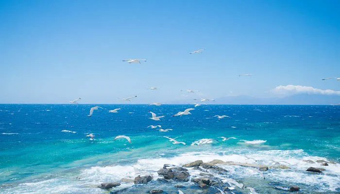 世界上最深的海 世界上最深的海是什么海