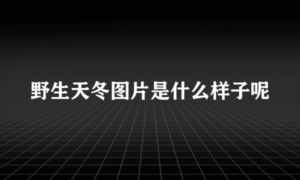 野生天冬图片是什么样子呢
