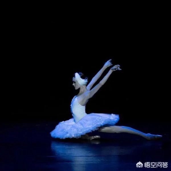 谭元元和侯宏澜谁厉害?